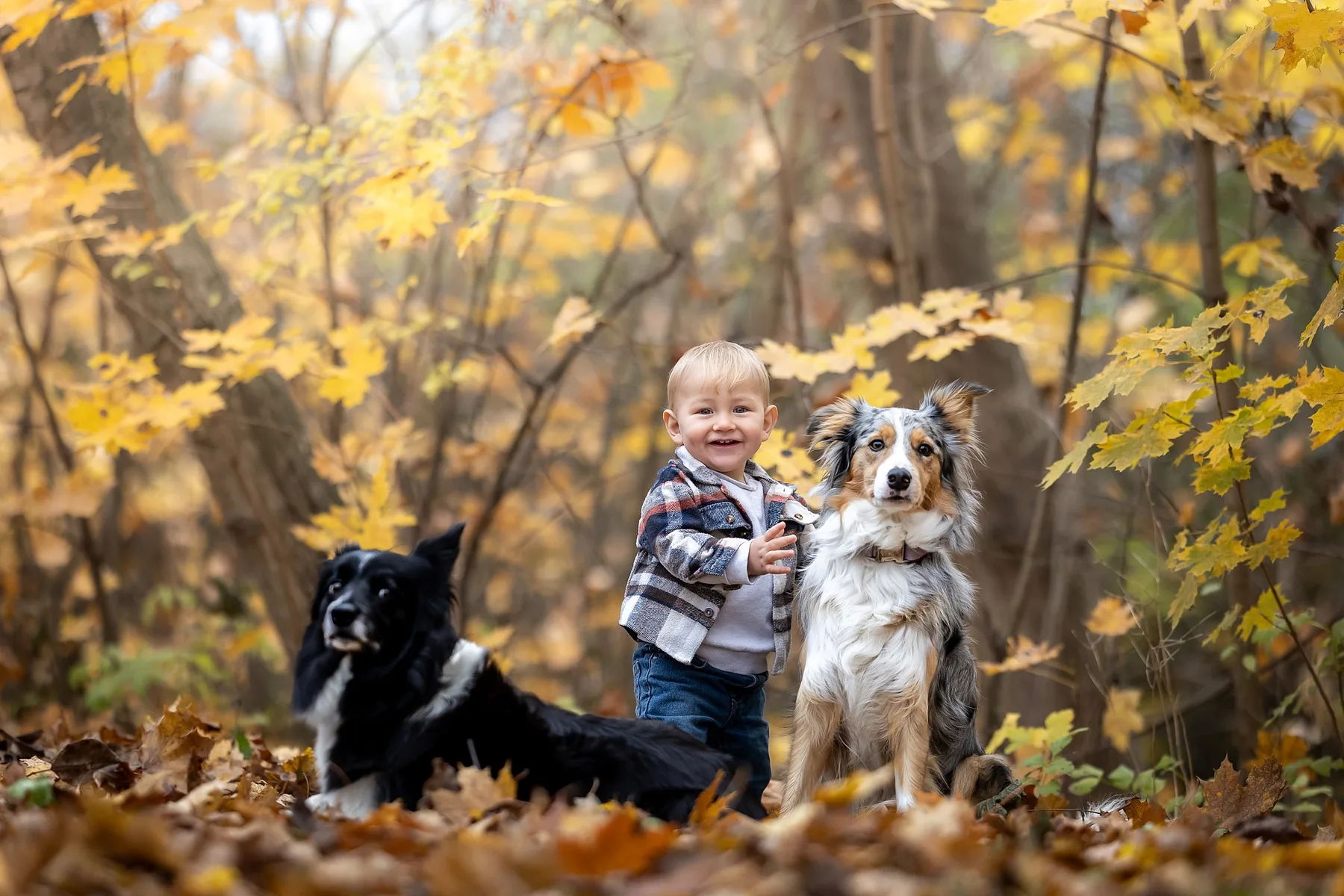 Rodiny & děti — fotografie Šídlos Foto